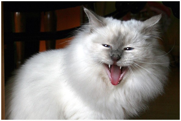 Images/Foto 94.jpg